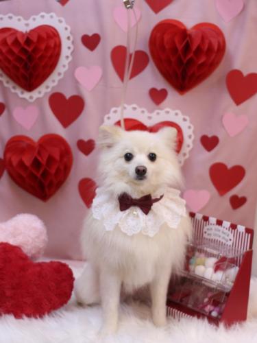 20240212しゅんくん-1